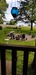 14582 Old Lake Rd