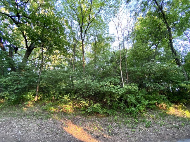 30067 Conita Circle